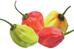 Piments